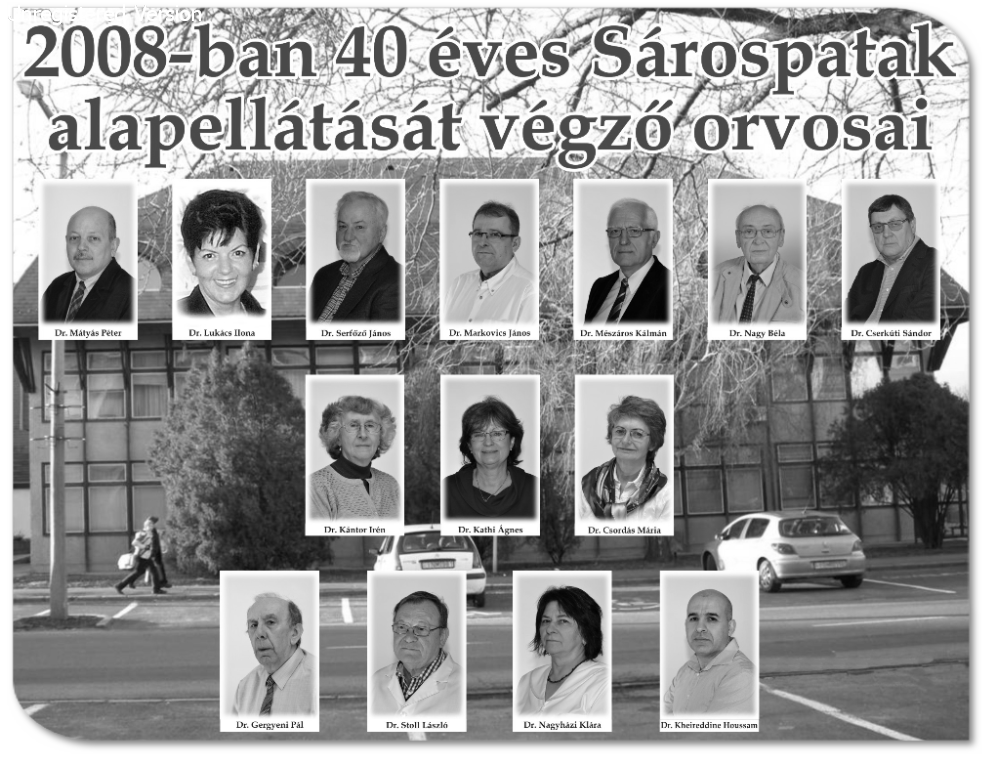 2008-ban ellátást végző orvosok